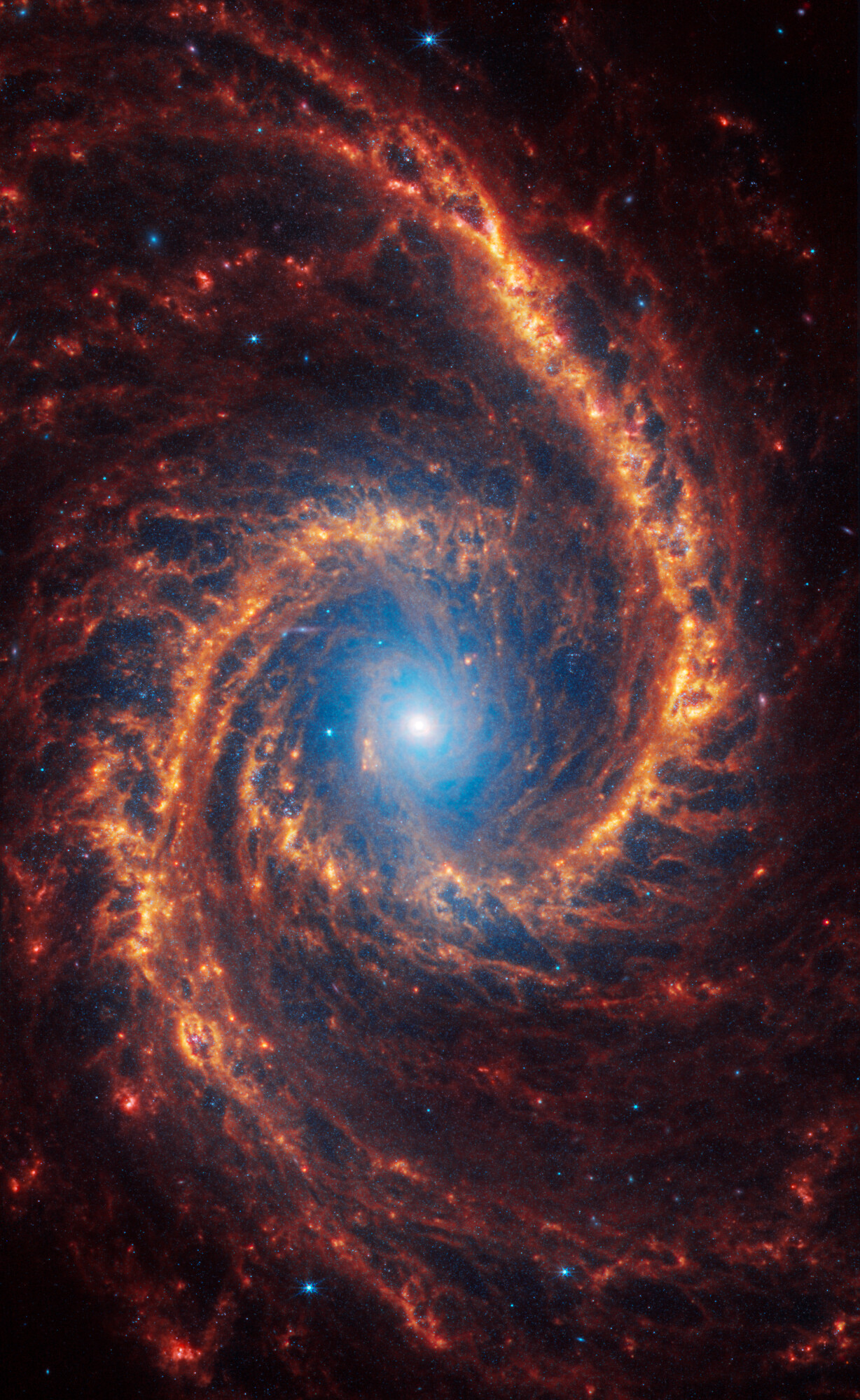 3D Stellar Clusters